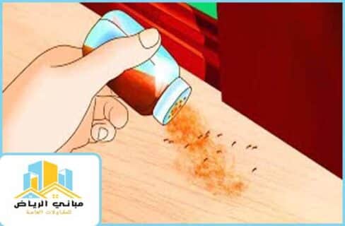 أسباب ظهور الحشرات في المنزل