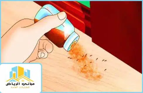أسباب ظهور الحشرات في المنزل