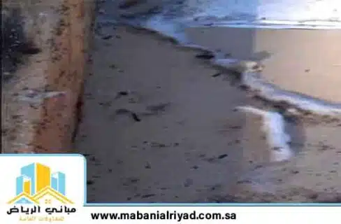 حشرات الرطوبة الطائرة