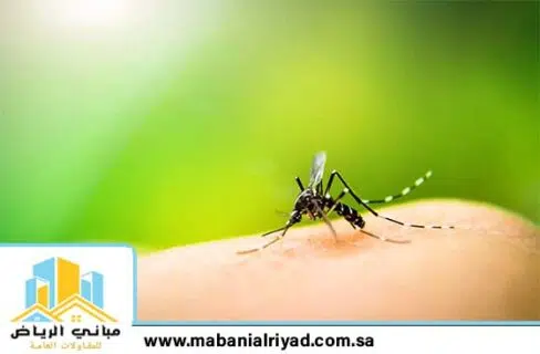 أفضل الطرق للتخلص من البعوض