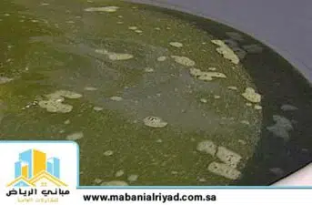 ازالة الطحالب من خزانات المياه