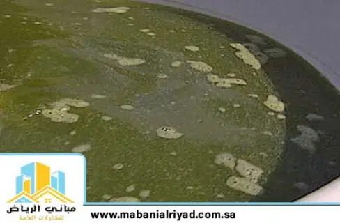 ازالة الطحالب من خزانات المياه