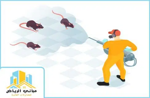القضاء على حشرات المجاري