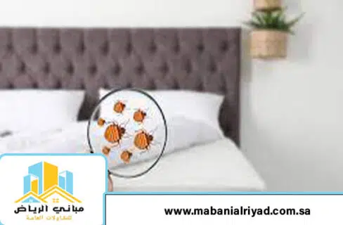 طرق بسيطة لعلاج بق الفراش في المنزل
