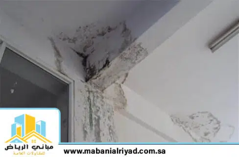 عفن الجدران وكيفية التخلص منه