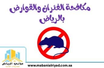 مكافحة الفئران والقوارض بالرياض مباني الرياض