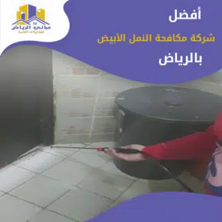 مكافحة النمل الأبيض بواسطة مباني الرياض